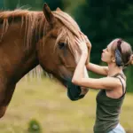 5 Schritte, mit denen du deinem Pferd beim Abnehmen hilfst