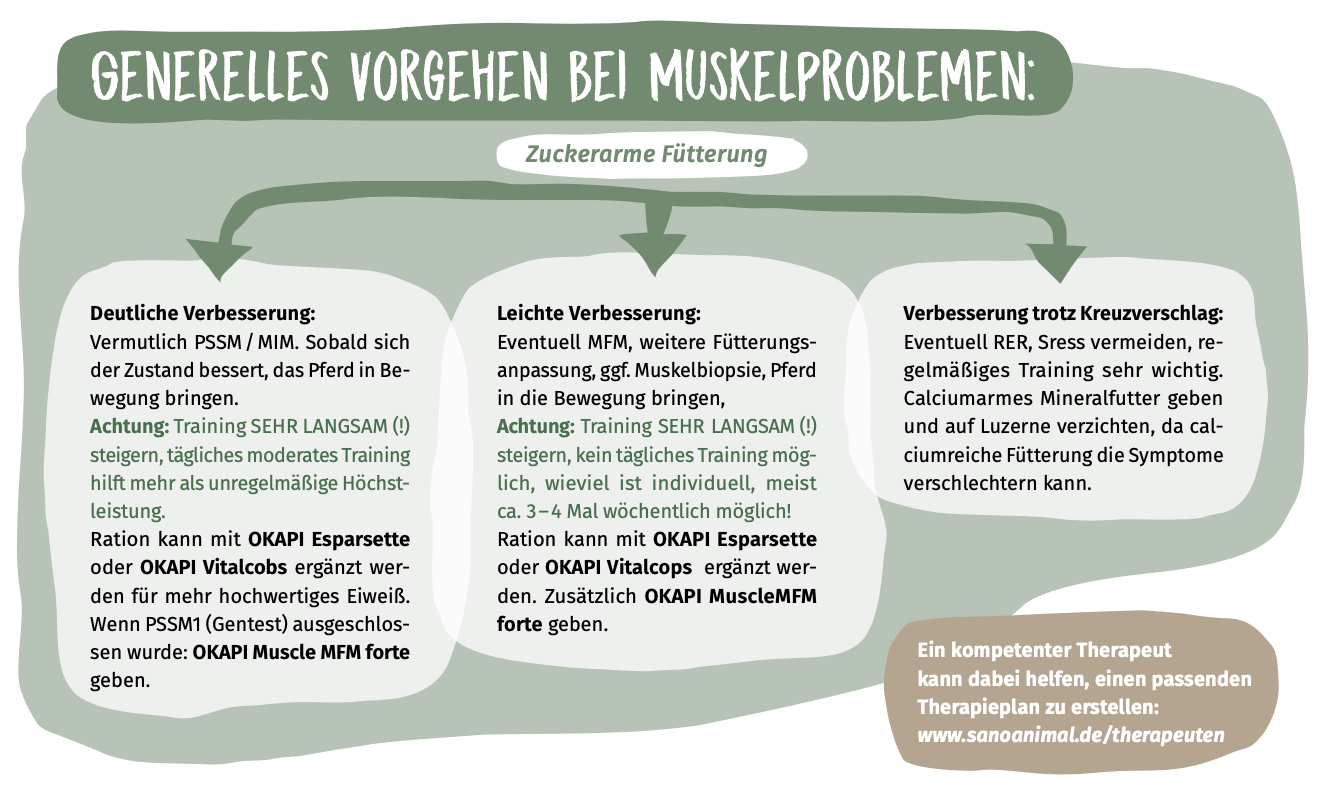 Schaubild über PSSM und Varianten