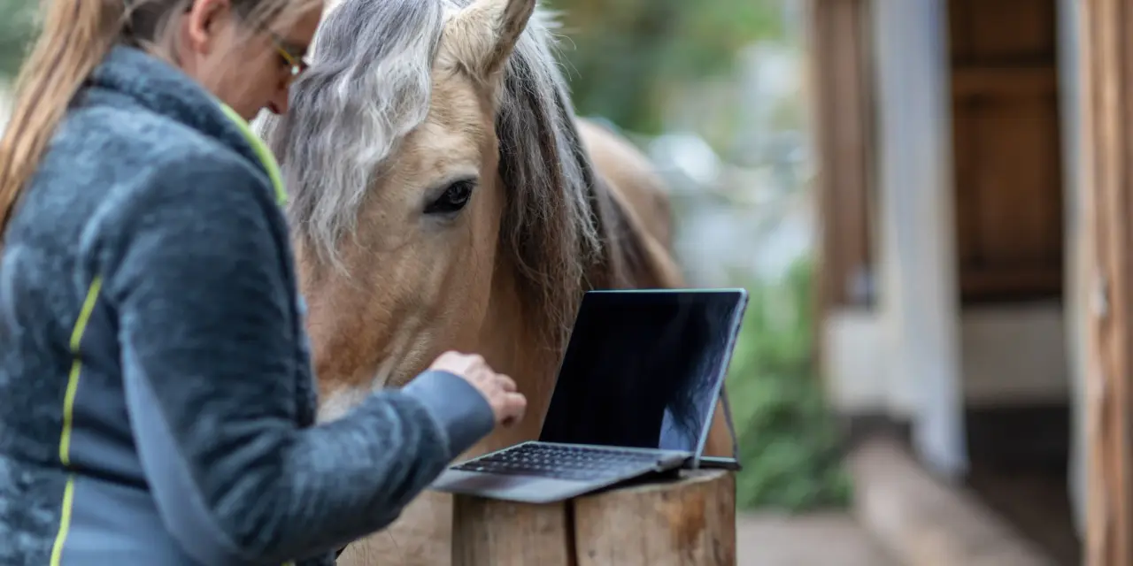 Aktivstall: Wenn Technologie auf Pferdehaltung trifft