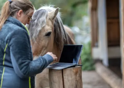 Frau hat ihren Laptop mit am Stall, Pferd guckt mit drauf