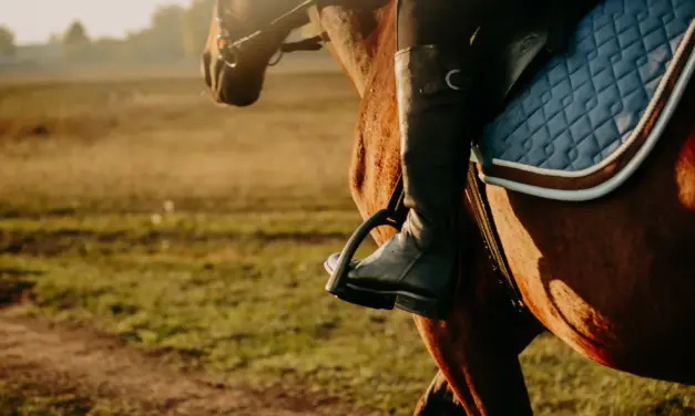 Gewichtsreduktion durch Training – der Schlüssel zum Erfolg