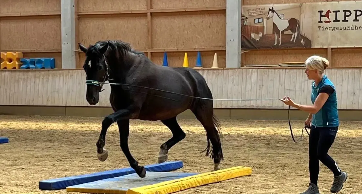 Abnehmen mit EquiGym®