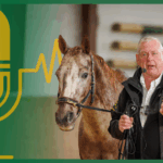 Expertentalk #2 – Michael Geitner: Blau-Gelbe Trainingswelt