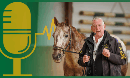 Expertentalk #2 – Michael Geitner: Blau-Gelbe Trainingswelt