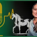 Exptertentalk #3 – Vivian Gabor: Sinnvoll lernen