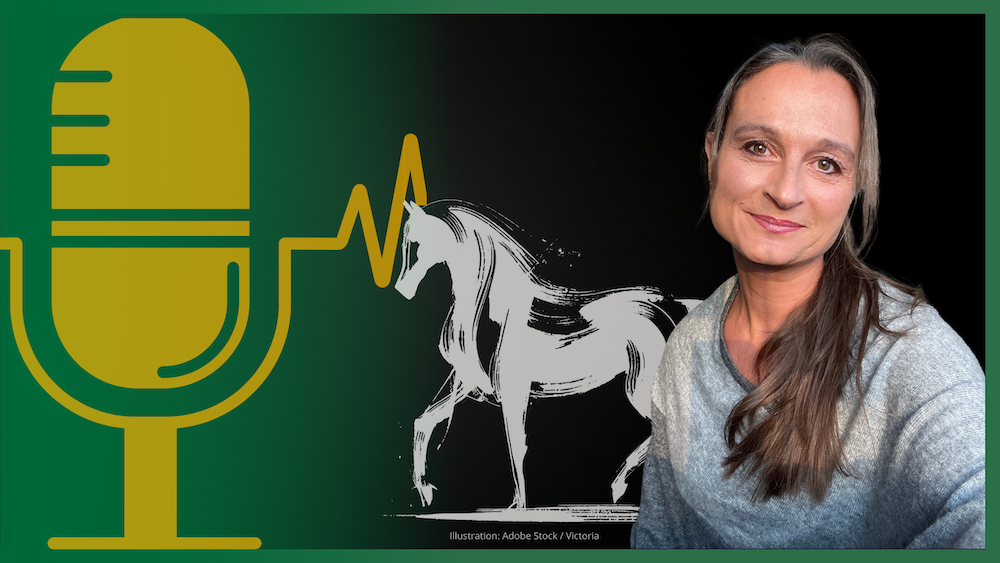 Exptertentalk #3 &#8211; Vivian Gabor: Sinnvoll lernen