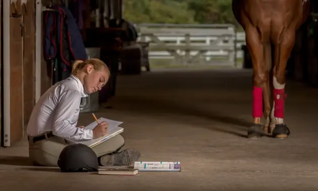 Pferdegesundheit: Warum Weiterbildung für Pferdebesitzer unverzichtbar ist