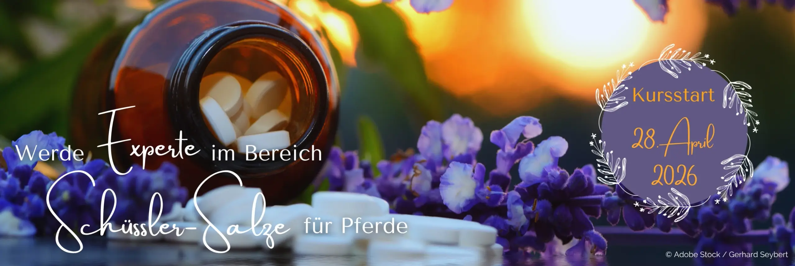 Werde Experte im Bereich Schüsslersalze für Pferde. Kursstart 28. April 2026