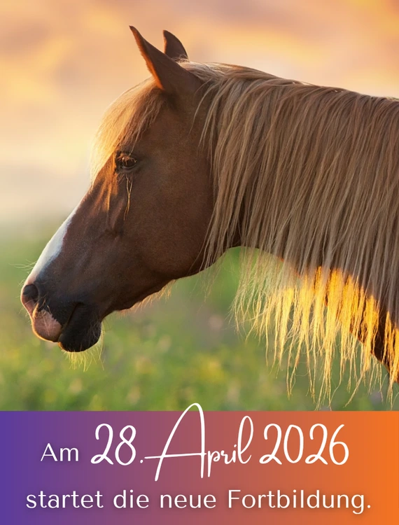 Fortbildung Schüsslersalze : Startdatum am 28. April 2026