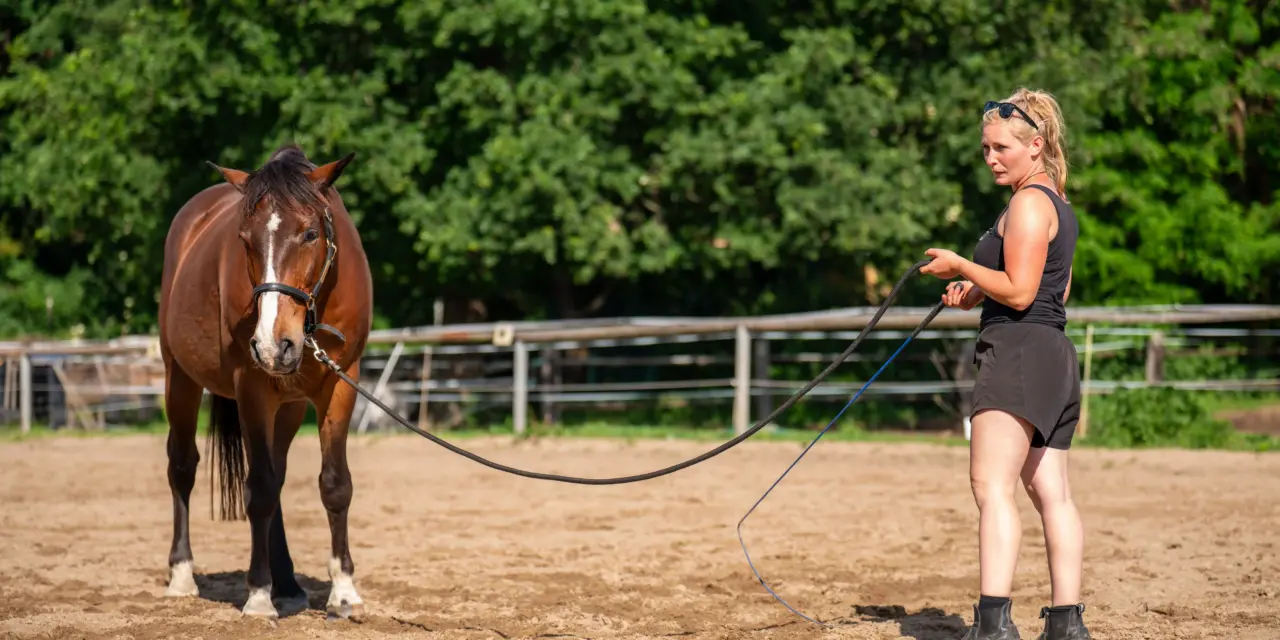 Die richtige Ausrüstung für die Bodenarbeit