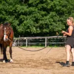 Die richtige Ausrüstung für die Bodenarbeit