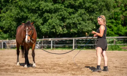 Die richtige Ausrüstung für die Bodenarbeit