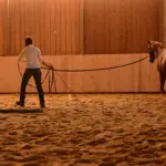 Mentale Vorbereitung des Menschen