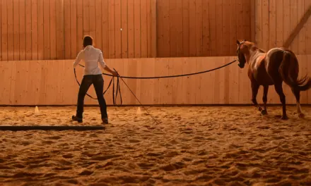 Mentale Vorbereitung des Menschen