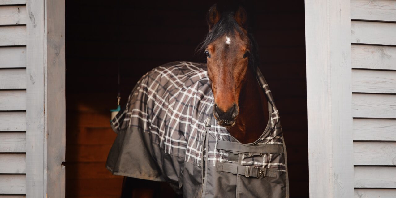 Winterdecken für Pferde: Auswahl, Füllmengen &#038; Materialien