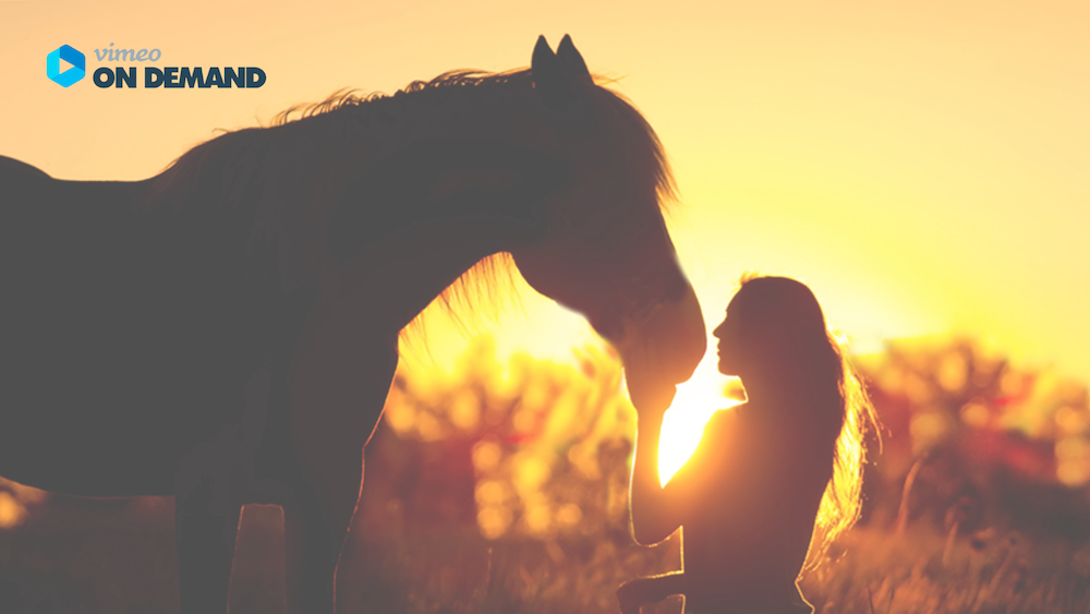 GEBALLTES WISSEN #41 Tierkommunikation mit Pferden