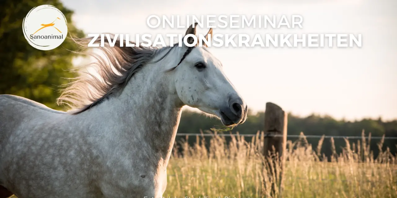 Onlineseminar &#8222;Zivilisationskrankheiten des Pferdes&#8220;