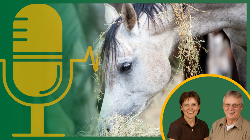 Expertentalk #5 &#8211; Leistung ohne Kraftfutter: Wie Karen und Harald Küfe mit Heutrocknung Pferdegesundheit neu definieren