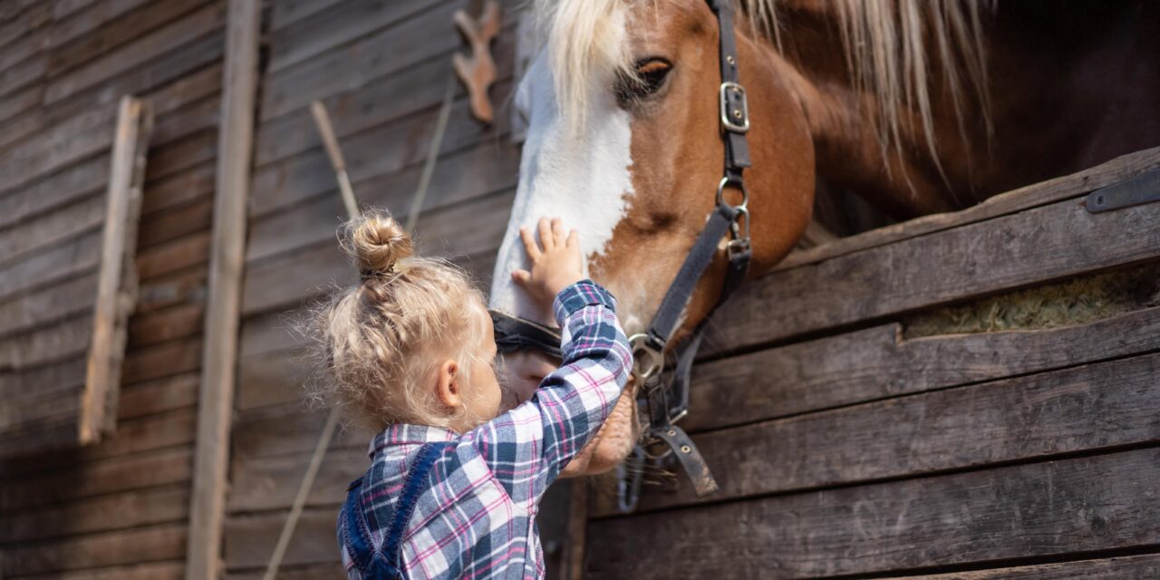 Pferde als Seelentröster – Emotionale Unterstützung in Krisenzeiten