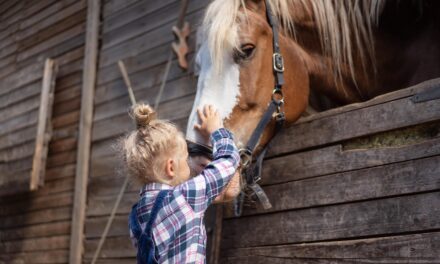Pferde als Seelentröster – Emotionale Unterstützung in Krisenzeiten