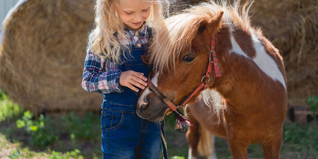 Was kostet die Pferdeleidenschaft meines Kindes?