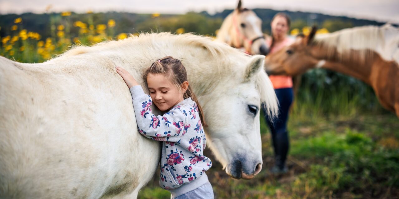 Respekt statt Angst – Wie Kinder lernen, sicher mit Pferden umzugehen