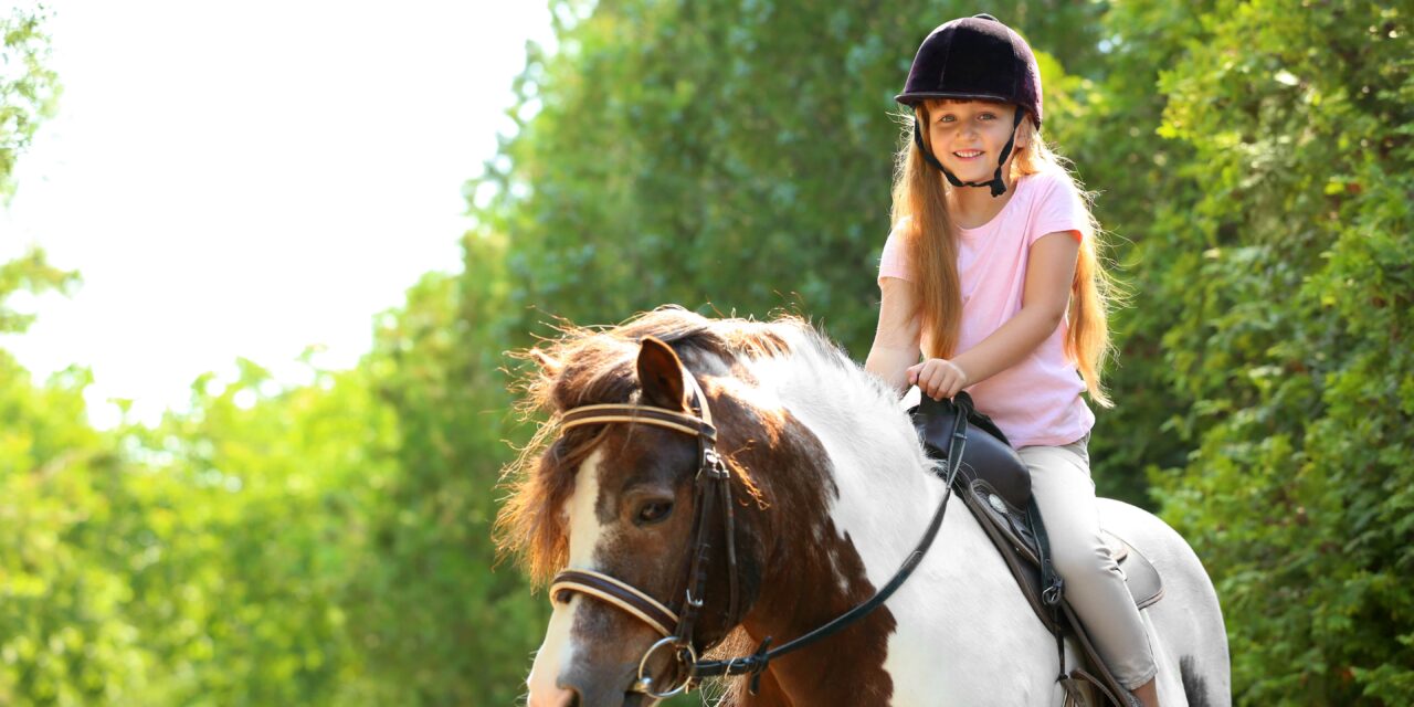 Der richtige Einstiegszeitpunkt von Kindern in die Pferdewelt