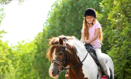 Der richtige Einstiegszeitpunkt von Kindern in die Pferdewelt