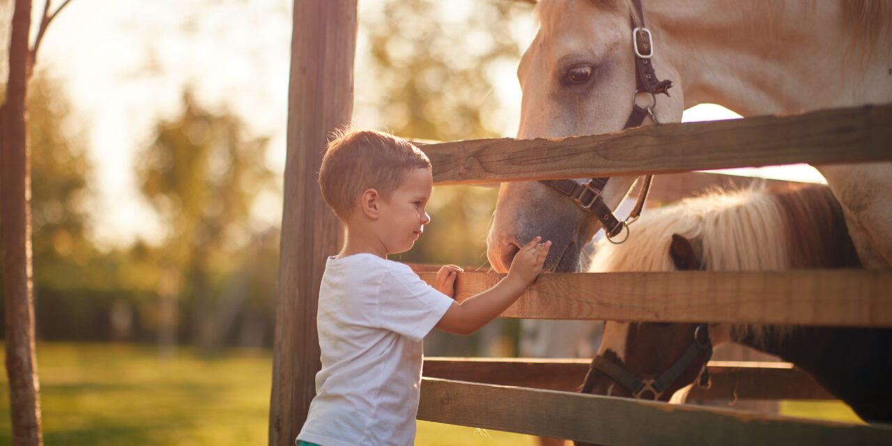 Angstfrei reiten lernen – der spielerische Weg aufs Pferd