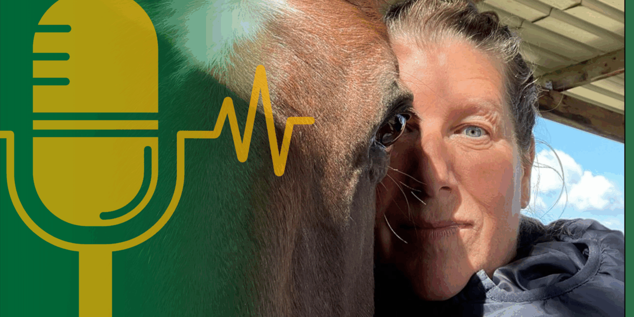 Expertentalk #7 – „Ein glücklicher Mensch bedeutet ein glückliches Pferd“ – Bettina Reitsam über die Kraft des Heilströmens