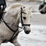 Chambon und Gogue: Den Rücken aufwölben