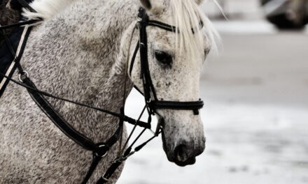 Chambon und Gogue: Den Rücken aufwölben