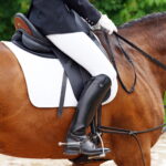 Die flexiblen Ausbinder: Dreieckszügel (Wiener Zügel) & Laufferzügel (Phillipszügel)