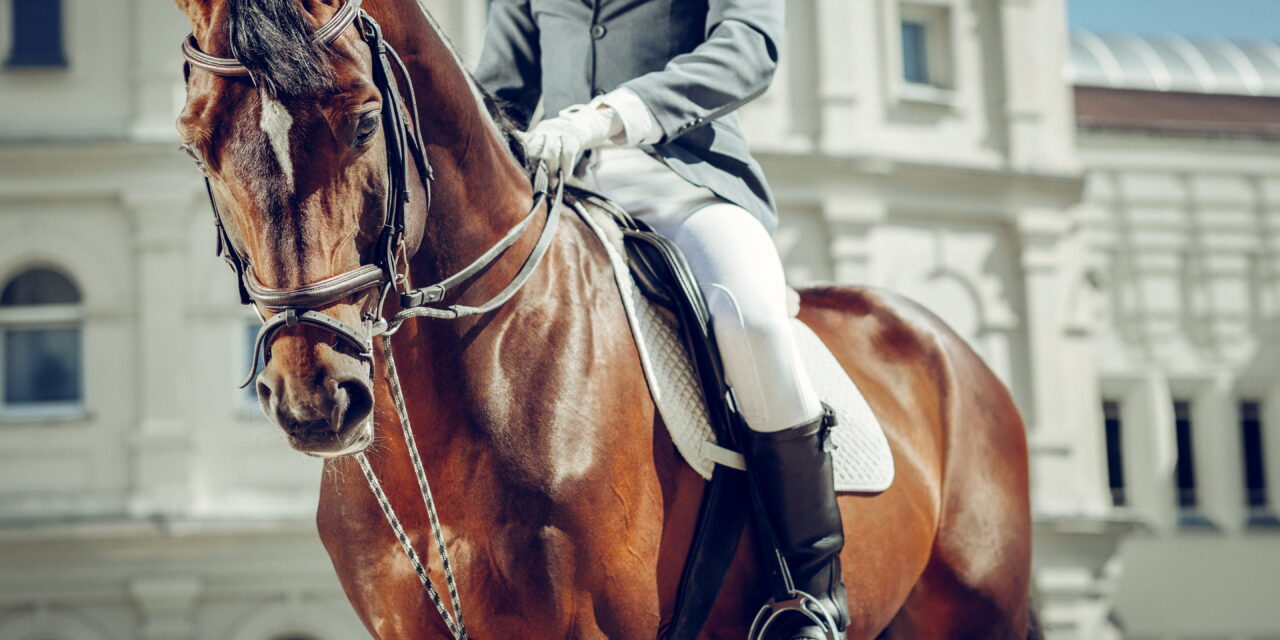 Schlaufzügel: Das Flaschenzugprinzip in der Hand des Profis