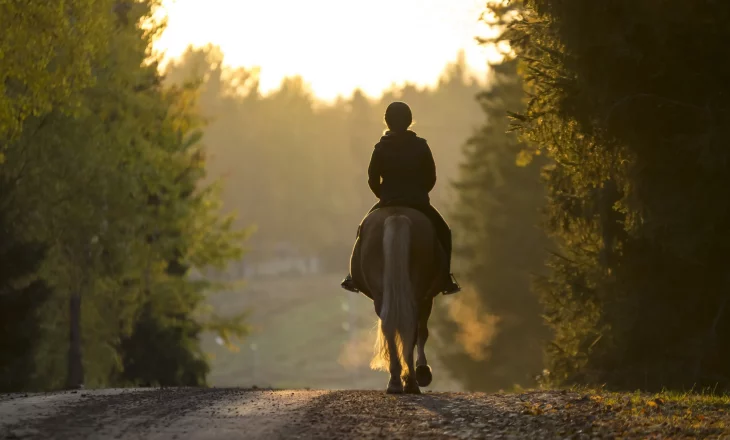 Gewicht reduzieren; Ausritt mit Haflinger