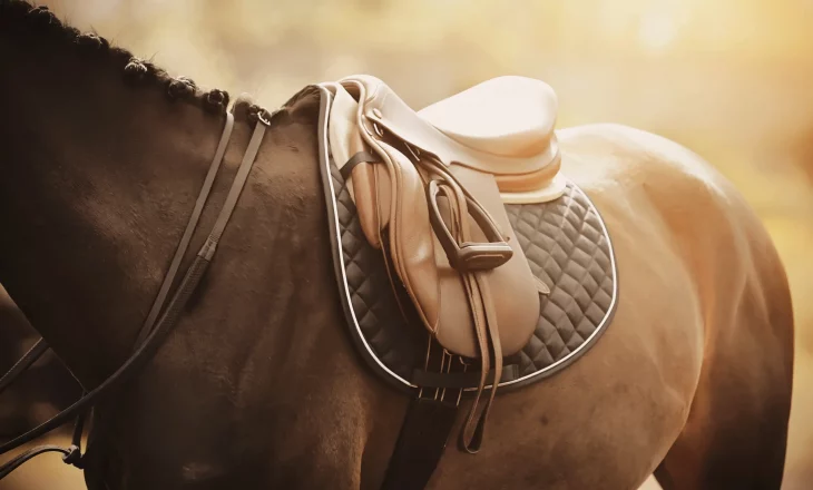 Bruin paard met een bruin zadel